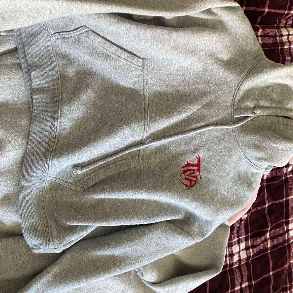 Grey TNA crop hoodie